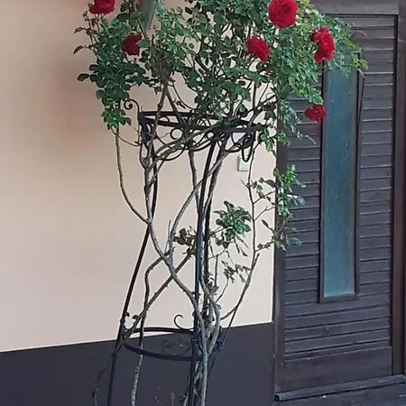 Herkules Ferienhaus Zalakaros